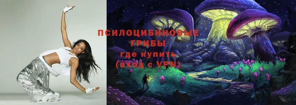 ПСИЛОЦИБИНОВЫЕ ГРИБЫ Волосово