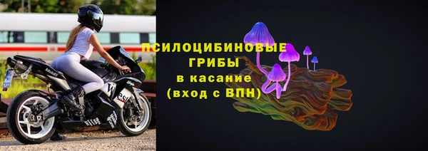 ПСИЛОЦИБИНОВЫЕ ГРИБЫ Волосово